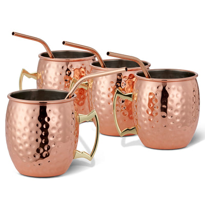 Stainless Steel Moscow Mule Cocktail Mug & Straw Set