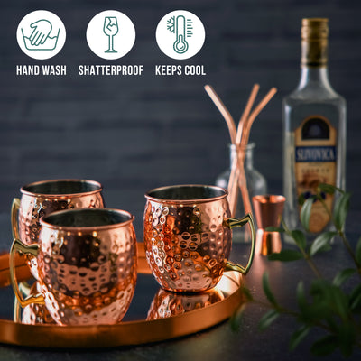 Stainless Steel Moscow Mule Cocktail Mug & Straw Set