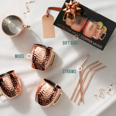 Stainless Steel Moscow Mule Cocktail Mug & Straw Set